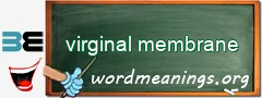 WordMeaning blackboard for virginal membrane